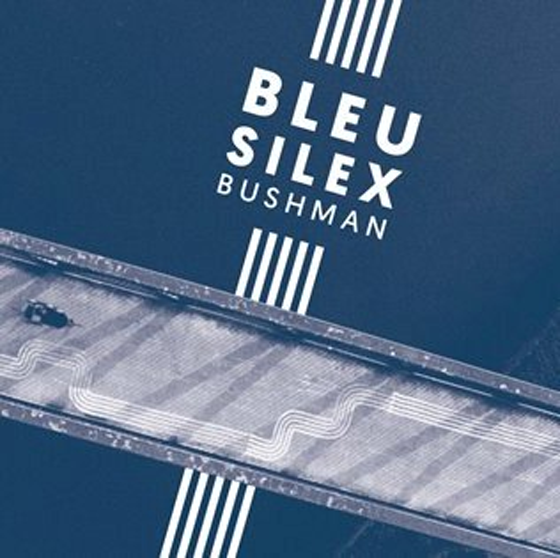 bleu silex